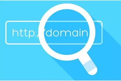 Domain name search